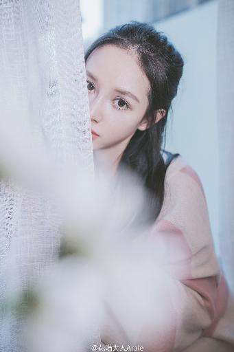 二哈和他的白猫师尊